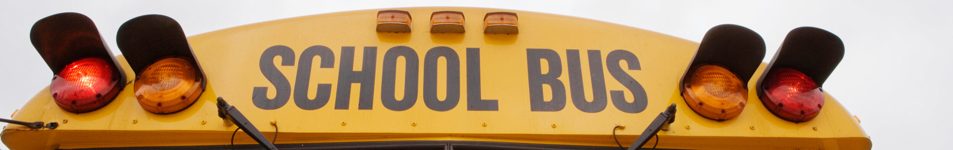 bus services